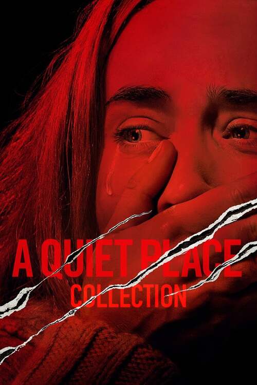 Ciche miejsce / A Quiet Place (2018-2020) KOLEKCJA.MULTi.2160p.UHD.BluRay.REMUX.DV.HDR.HEVC.TrueHD.7.1-MR | Lektor i Napisy PL