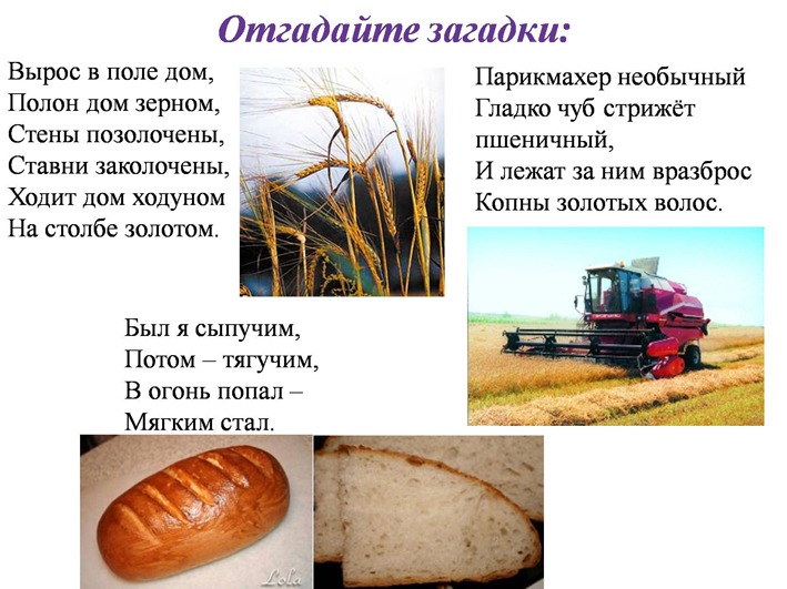 Тема «Откуда хлеб пришёл?» 3dcaad3277f1abf678835976f6f95a6a
