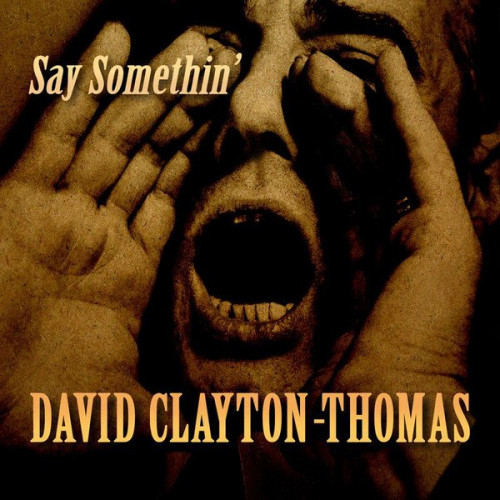 David Clayton-Thomas - Say Somethin' (2020) Lossless