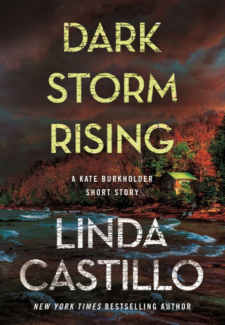 Dark Storm Rising by Linda Castillo