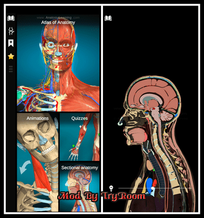 Anatomy Learning - 3D Anatomy v2.1.419 79096a98c27718b38acc5a8c8cbc3ac4