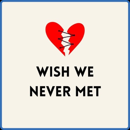 VA - Wish We Never Met 2024