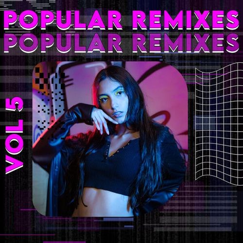 Popular Remixes Vol.5 (2024) FLAC
