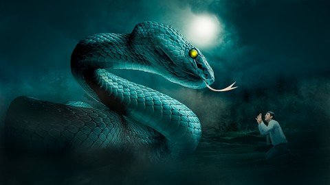 Photoshop Advanced Manipulation Course – The Viper Snake