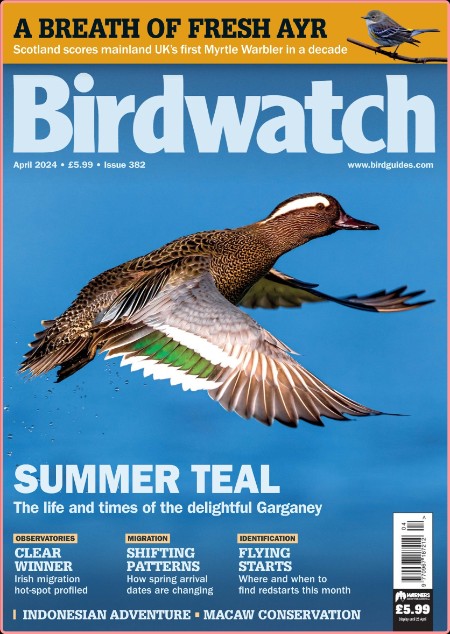 Birdwatch UK - April 2024 copy 2