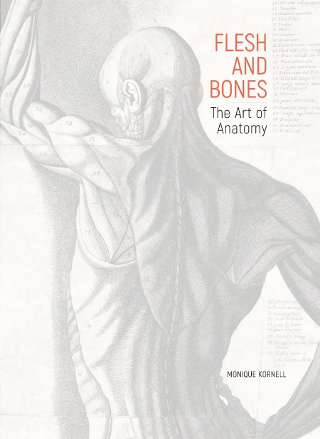 Flesh and Bones by Monique Kornell
