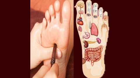 Foot Reflexology And Aromatherapy Certification