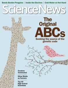 Science News – 12 February 2011