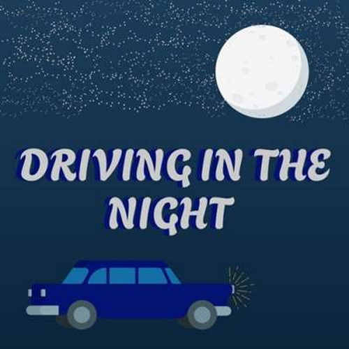 Driving In The Night (2024)