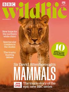 BBC Wildlife – April 2024