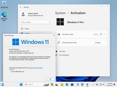 Windows 11 HomePro 23H2 Build 22631.3447 (No TPM Required)  Preactivated