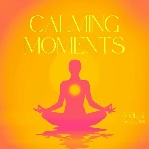 Calming Moments Vol. 2 (2024) FLAC