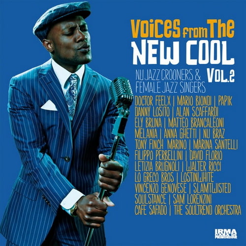 Voices From The New Cool Vol. 2 (2024) FLAC