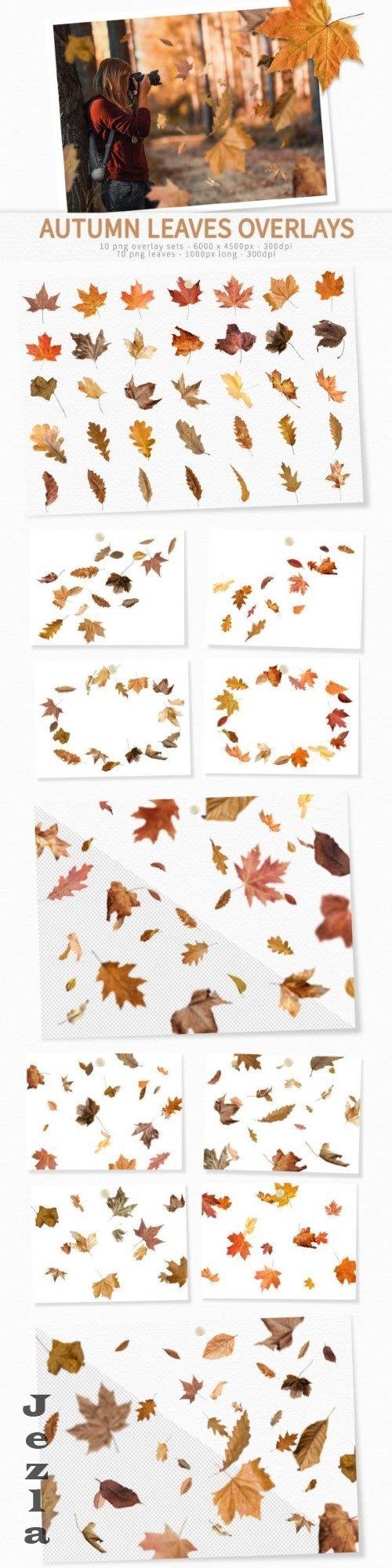 Autumn Leaves Overlays - 92473908