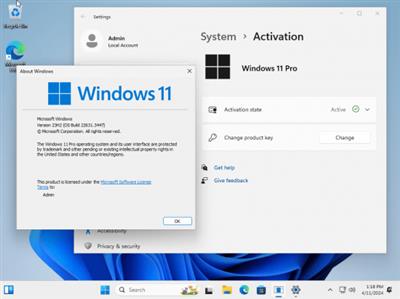 Windows 11 Pro 23H2 Build 22631.3447 (No TPM Required) Preactivated Multilingual April  2024