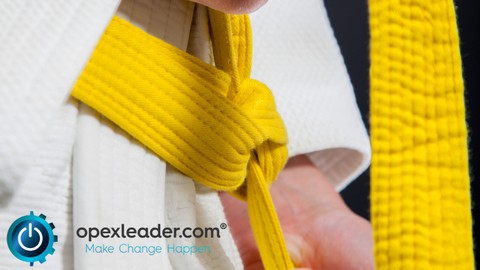 Certified Lean Six Sigma Yellow Belt (Cssc Accredited)