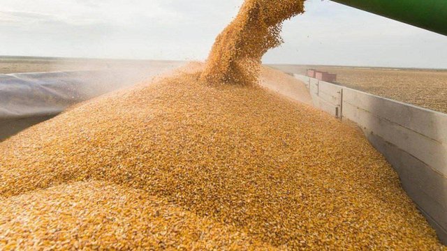 ЄБА виступила проти ухвалення законопроєктів про "чорне зерно" сквозь закладені в них корупційні ризики