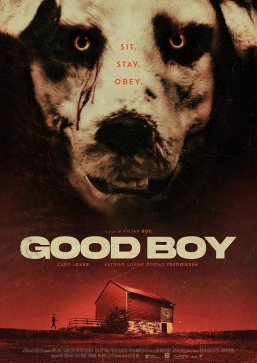 Dobry piesek / Good Boy (2022) PL.1080p.WEB-DL.H.264-OzW / Lektor PL 0b26c0a582dc0291b4e63f2a4c871e6a