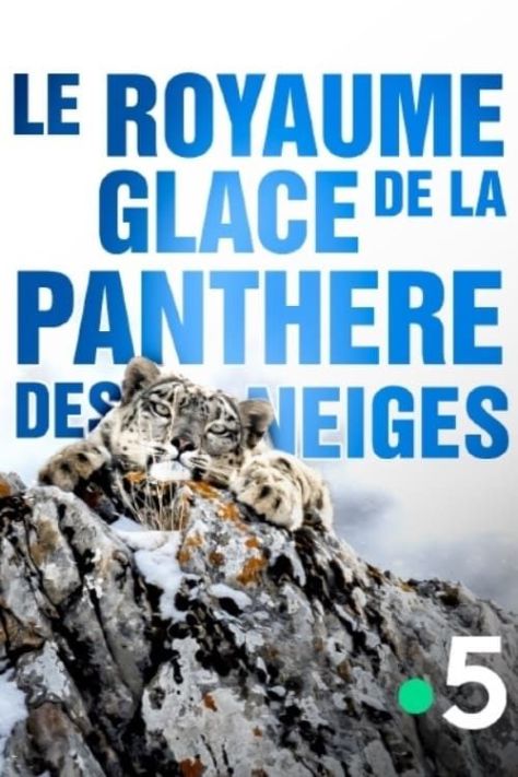 Lodowe królestwo pantery śnieżnej / Le royaume glacé de la panthère des neiges (2020) PL.1080i.HDTV.H264-OzW / Lektor PL