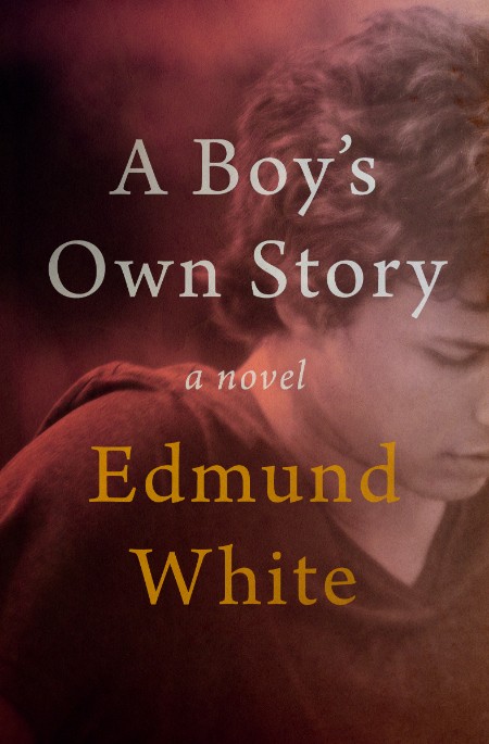 A Boy's Own Story by Edmund White 5ec3d0fbf4309acfadff07d14d2e4eab