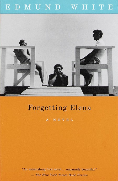 Forgetting Elena by Edmund White 9bc410f969bc3cf834f0aa920e1fccd4