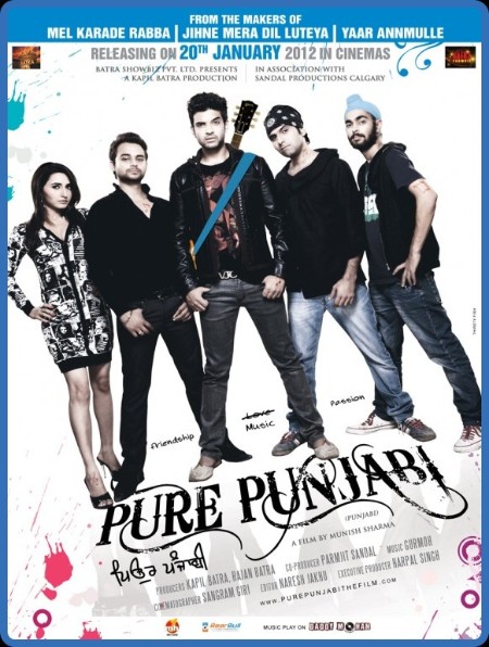 Pure Punjabi (2012) 1080p WEBRip x264 AAC-YTS