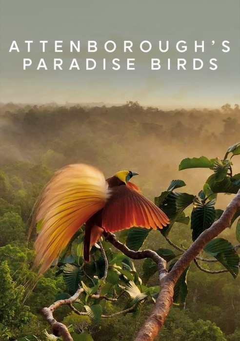Rajskie ptaki / Attenborough's Birds of Paradise (2015) PL.1080i.HDTV.H264-OzW / Lektor PL