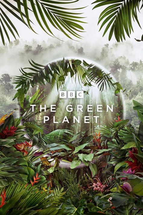 Zielona planeta / The Green Planet (2022) [SEZON 1 ] PL.1080i.HDTV.H264-B89  / Lektor PL