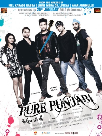 Pure Punjabi (2012) 720p WEBRip-LAMA