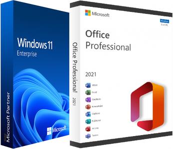 Windows 11 Enterprise 23H2 Build 22631.3447 (No TPM Required) With Office 2021 Pro Plus Multilingual Preactivated April 2024 6e4c4b98ac7f84370d5ae1cc8dc58cac