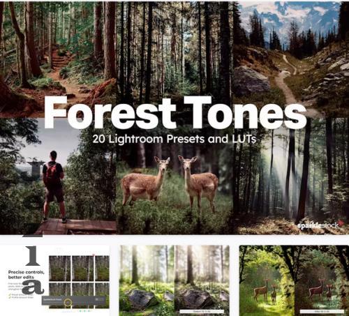 Forest Tones Lightroom Presets LUTs - 92494045
