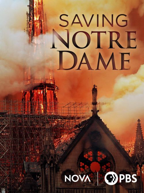 Na ratunek Notre Dame / Sauver Notre-Dame (2020) PL.1080i.HDTV.H264-B89 / Lektor PL