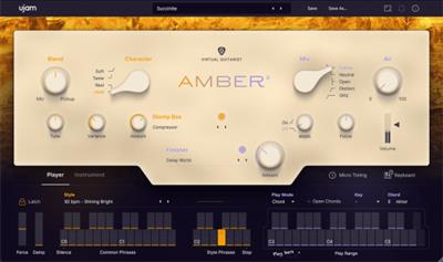 UJAM Virtual Guitarist Amber 2  v2.3.0