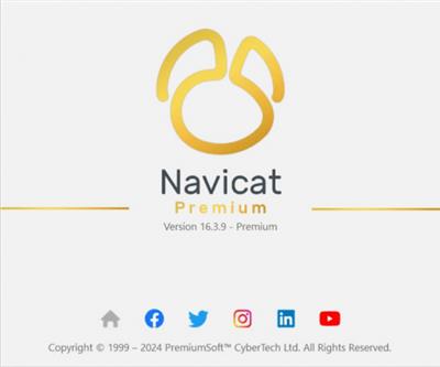 Navicat Premium 16.3.9 (x64)