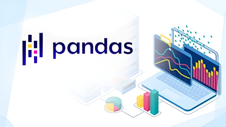 The Ultimate Beginners Guide to Data Analysis with Pandas