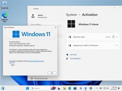 Windows 11 & Windows 10 AIO 32in1 Preactivated April  2024 7a1fd276c5c2033c3c75ca273f533135