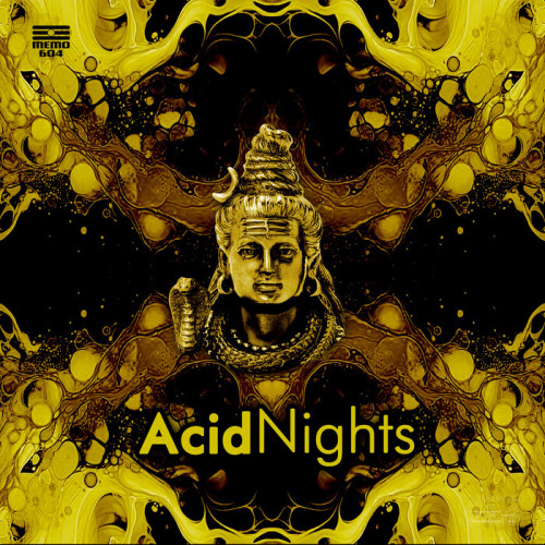 VA - Acid Nights (2024)