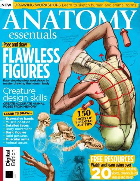 ImagineFX Presents: Anatomy Essentials, 16th Edition 2024