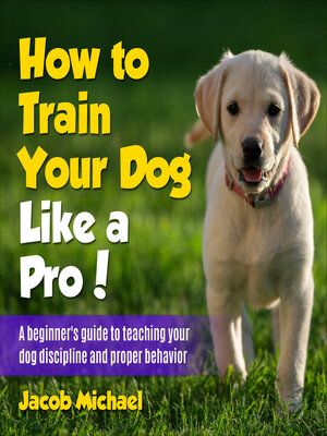 how-to-train-Your-dog-like-a-pro