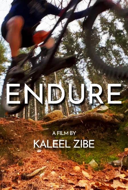 Endure (2024) 1080p WEB h264-CODSWALLOP