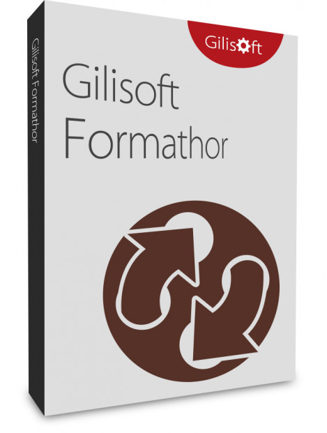 GiliSoft Formathor v8 2 0  and Patch-RLTS