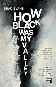How Black Was My Valley Poverty and Abandonment in a Post-Industrial Heartland