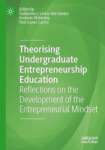 Theorising Undergraduate Entrepreneurship Education Reflections on the Development of the Entrepreneurial Mindset