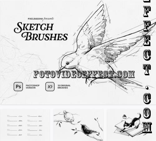 Sketch Brushes for Photoshop - 92539150