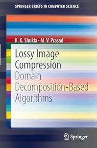 Lossy Image Compression Domain Decomposition-Based Algorithms (Repost)