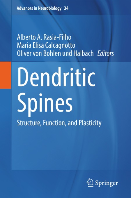Dendritic Spines by Alberto A. Rasia-Filho