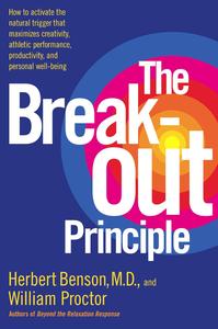 The Breakout Principle [Audiobook]