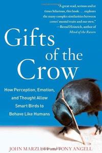 Gifts of the crow  how perception, emotion, and thought allow smart birds to behave like humans