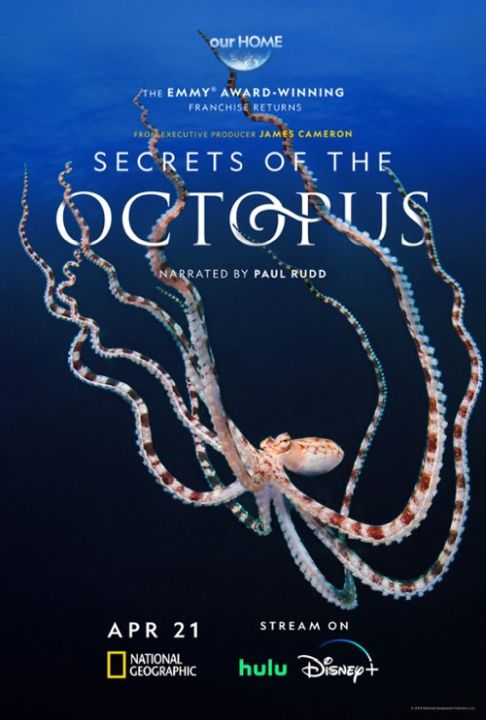Sekretne życie ośmiornic / Secrets of the Octopus (2024) [SEZON 1 ]  MULTi.1080p.DSNP.WEB-DL.DDP5.1.H.264-OzW / Lektor PL | Napisy PL