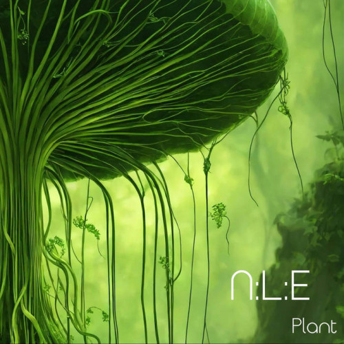 N:L:E - Plant (2024)